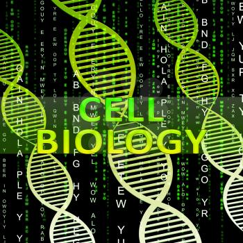 Cell Biology Helix Means Biotech Research 3d Illustration