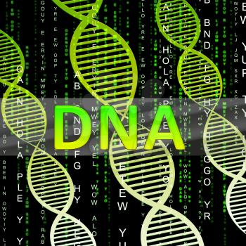 Dna Helix Shows Biotechnology Research 3d Illustration