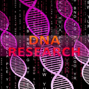 Dna Rresearch Helix Means Genetic Experiments 3d Illustration