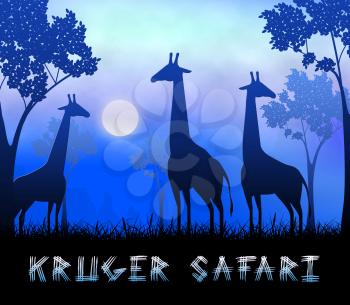 Kruger Safari Giraffes Showing Wildlife Reserve 3d Illustration