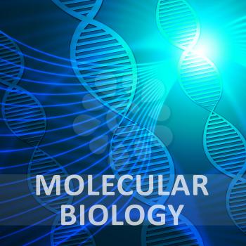 Molecular Biology Helix Meaning Dna Research 3d Illustration