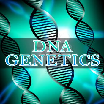 Dna Genetics Helix Shows Biotech Science 3d Illustration