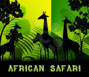 African Safari Giraffes Shows Wildlife Reserve 3d Illustration