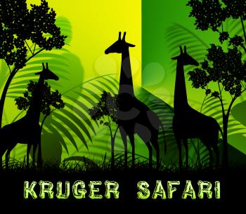 Kruger Safari Giraffes Means Wildlife Reserve 3d Illustration