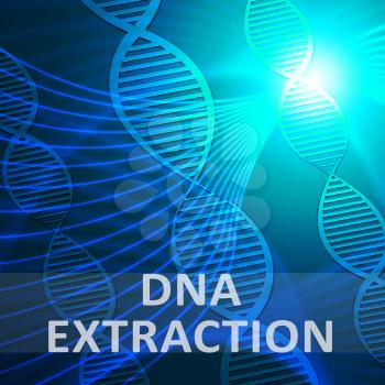 Dna Extraction Helix Showing Genetic Isolation 3d Illustration