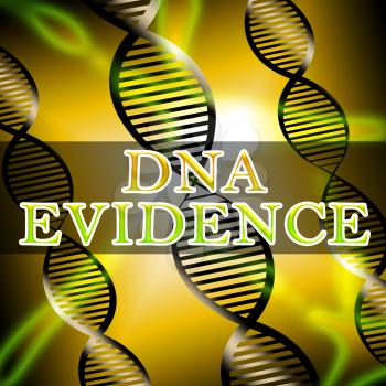 Dna Evidence Helix Shows Genetic Proof 3d Illustration