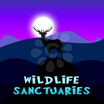 wildlife Sanctuaries Mountain Scene Shows Animal Reservation 3d Illustration
