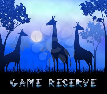 Game Reserve Giraffes Showing Wildlife Reserve 3d Illustration