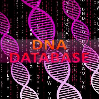 Dna Database Helix Means Genetic Data 3d Illustration