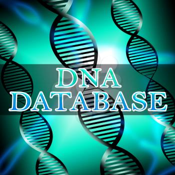 Dna Database Helix Shows Genetic Data 3d Illustration