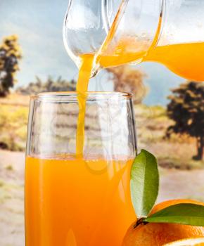 Orange Juice Healthy Showing Citrus Fruit And Refreshment