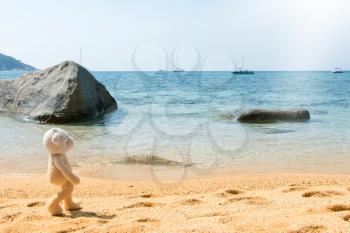Teddy Bear Walking On A Sandy Beach In Thailand