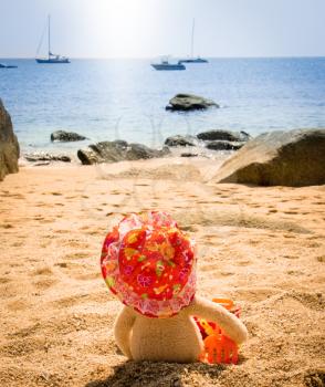Teddy Bear With Hat Looking Out To Sea