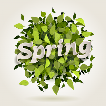 Abstract bright green leaves background with spring letters, vector illustration