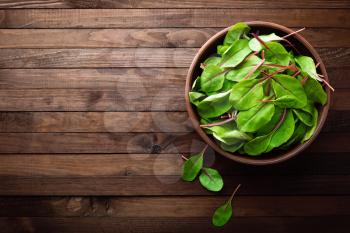 Fresh mangold leaves, swiss chard or leaf beet