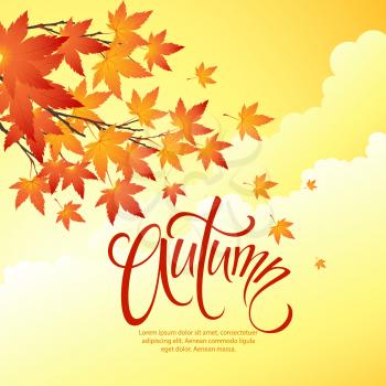 Autumn leaves  background of  sky. Vector illustration EPS 10