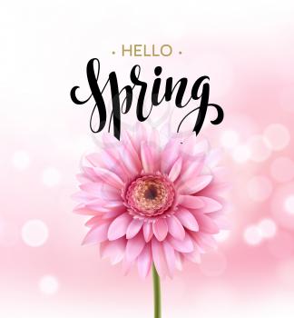 Gerbera Flower Background and Hello Spring Lettering. Vector Illustration EPS10