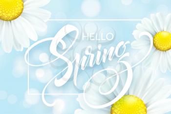 Daisy Flower Background and Hello Spring Lettering. Vector Illustration EPS10