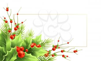 Christmas greeting card vector template with text frame. Realistic mistletoe twigs, red berries, holly, fir branches. Christmas decorative plants. Isolated banner, poster, postcard design element