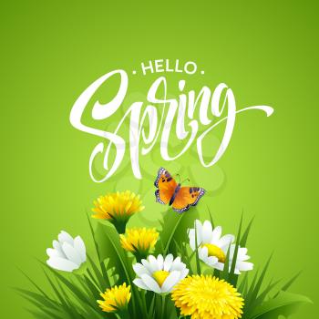 Inscription Hello Spring on background with spring flowers. Vector illustration EPS10