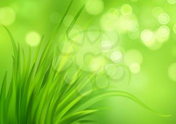 Frash Spring green grass background. Vector illustration EPS10