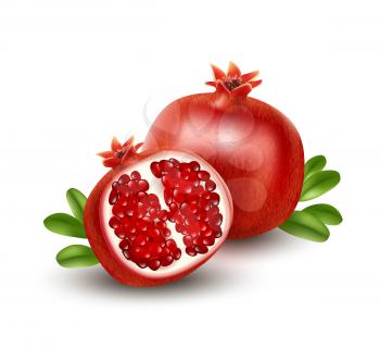 Realistic Pomegranate or garnet on the white background. Vector illustration EPS10
