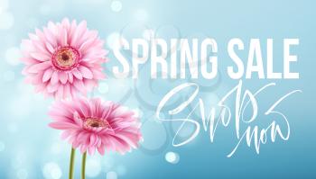 Pink gerbera daisies on a blue bokeh background. Spring sale lettering. Vector illustration EPS10