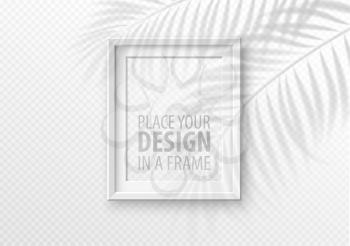 The transparent shadow overlay effect. Mockup with picture frame and overlay a palm leaf shadow. Vector illustration EPS10