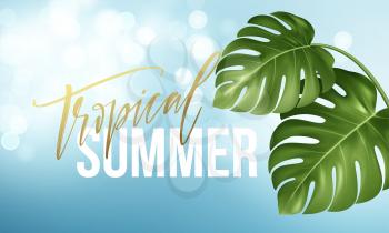 Tropical summer lettering on the background from Realistic bright green leaves of monstera. Vector illustration EPS10