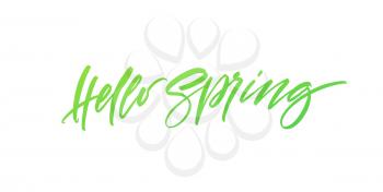 Hello Spring. Hand drawn calligraphy and brush pen lettering. Vector illustration EPS10