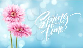 Gerbera Flower Background and Spring time Lettering. Vector Illustration EPS10