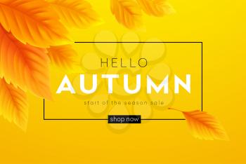 Hello Autumn sale background with realistic yellow autumn leaves. Vector illustration EPS10