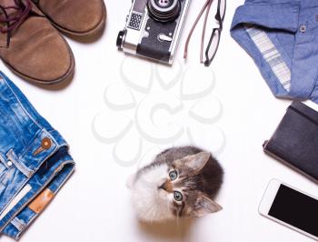 hipster ,men's clothes and accessories and cat.View from above with copy workspace.Look,collage menswear.
