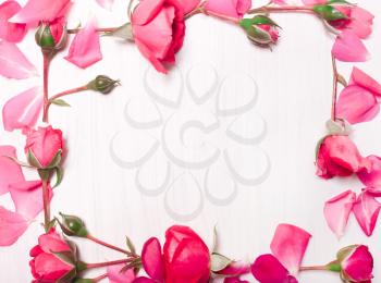 frame of pink flowers on white background.Pattern of red roses.Greeting card of flower.Soft focus.Flat lay, top view