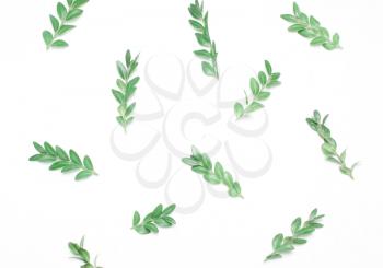 Pattern of green leaves on a white background. Type of flat.