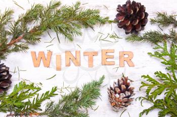 Word winter against the background of tree branches, cones on a white background wooden