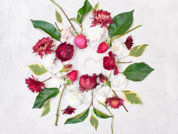 Round frame of flowers. Decorations of red roses, buds, green leaves and white chrysanthemums on gray concrete background. View from above, flat