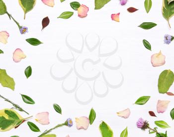 frame of flowers, petals and green leaves on a white background.Inspirational image.Type flat, top view