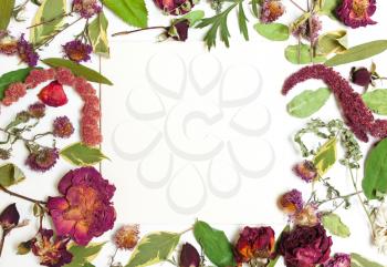 Composition of dried flowers, pink, red roses and green leaves on a white background. View from above, flat lay