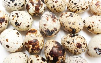 Quail eggs close-up on a white background