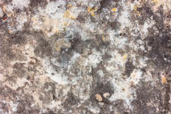 Old stone grunge gray yellow  texture with lichen
