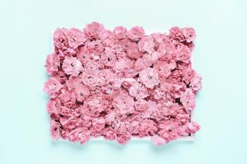 Composition of pink, coral flowers on blue background. Minimalistic floral design. Soft focus