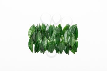 Green leaves on a white background. Minimalistic, eco, eco-friendly, creative concept. View from above