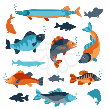 Set of various fish. Objects for decoration, design on advertising booklets, banners, flayers.