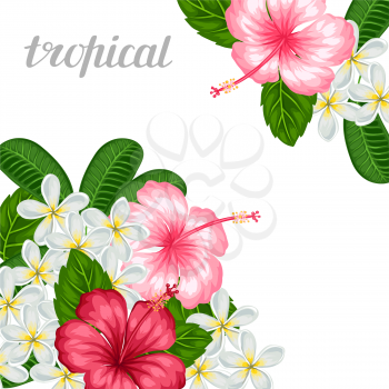 Background with tropical flowers hibiscus and plumeria. Image for holiday invitations, greeting cards, posters.