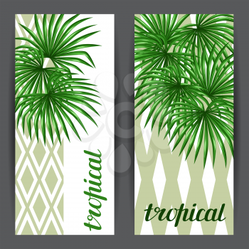 Banners card with palms leaves. Decorative image tropical leaf of palm tree Livistona Rotundifolia. Image for holiday invitations, greeting cards, posters, brochures and advertising booklets.
