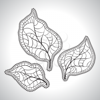 Black macro leaf natural isolated. Vector illustration.