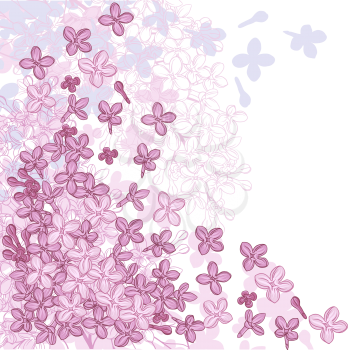 Vector background design with flowers of lilac.