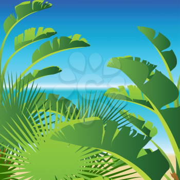 Tropical palm on sea background.