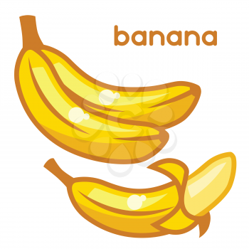 Stylized illustration of fresh bananas on white background.